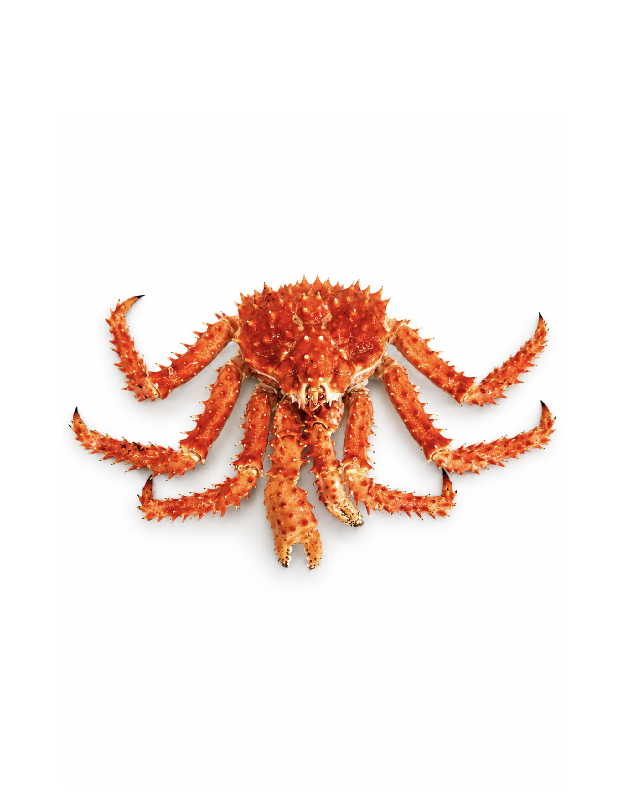 Фото Краб королівський «King Crab» цілий дефростований
