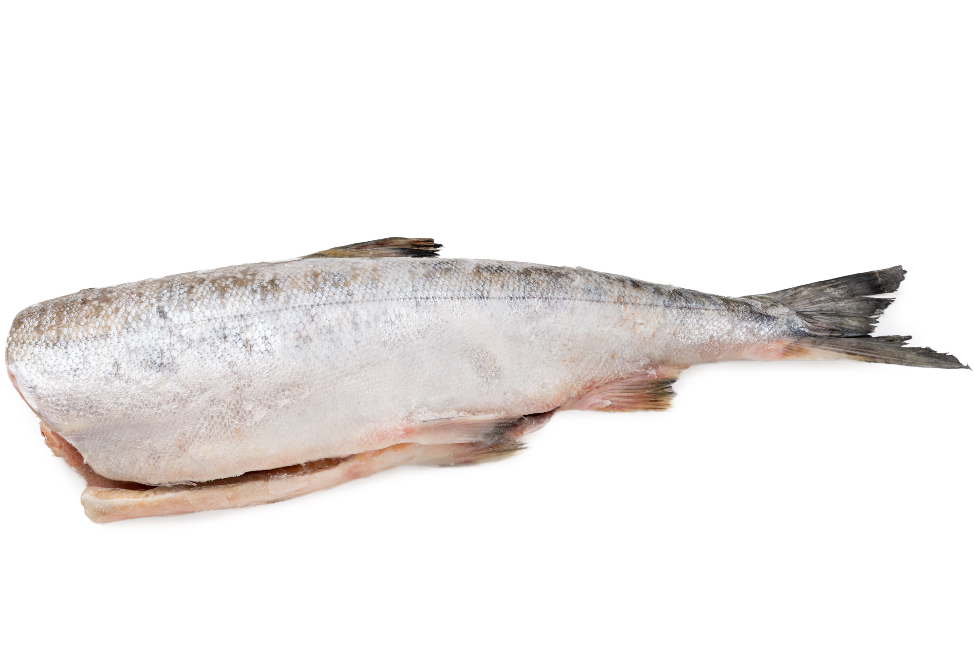 Фото Кета «Chum salmon» 4-6 б/г c/м  ваг tote AGS