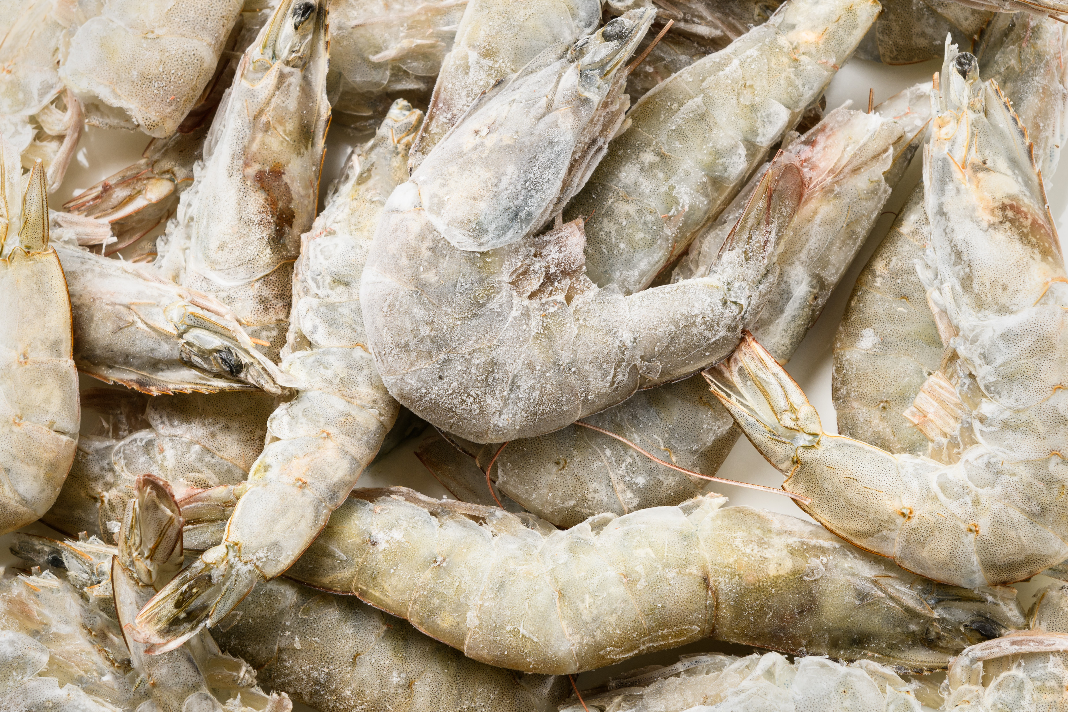 Photo Whole shrimp "Shrimp vannamei" 30/40 c/g s/m weight Ecuador