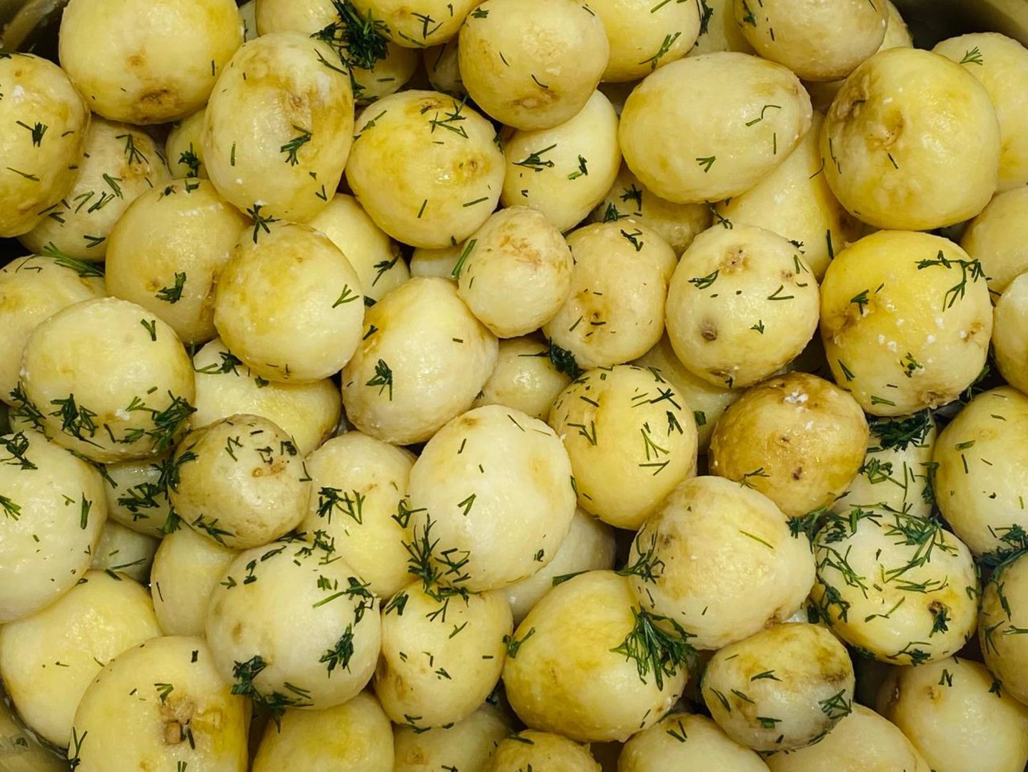 Photo Baby potatoes with dill