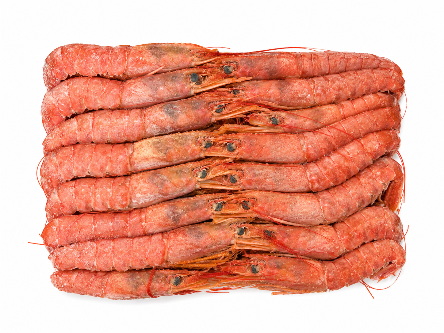 Photo Argentinean Shrimps