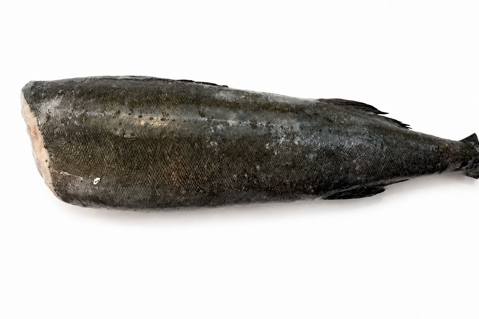 Фото Угольная рыба (треска черная) «Sablefish»