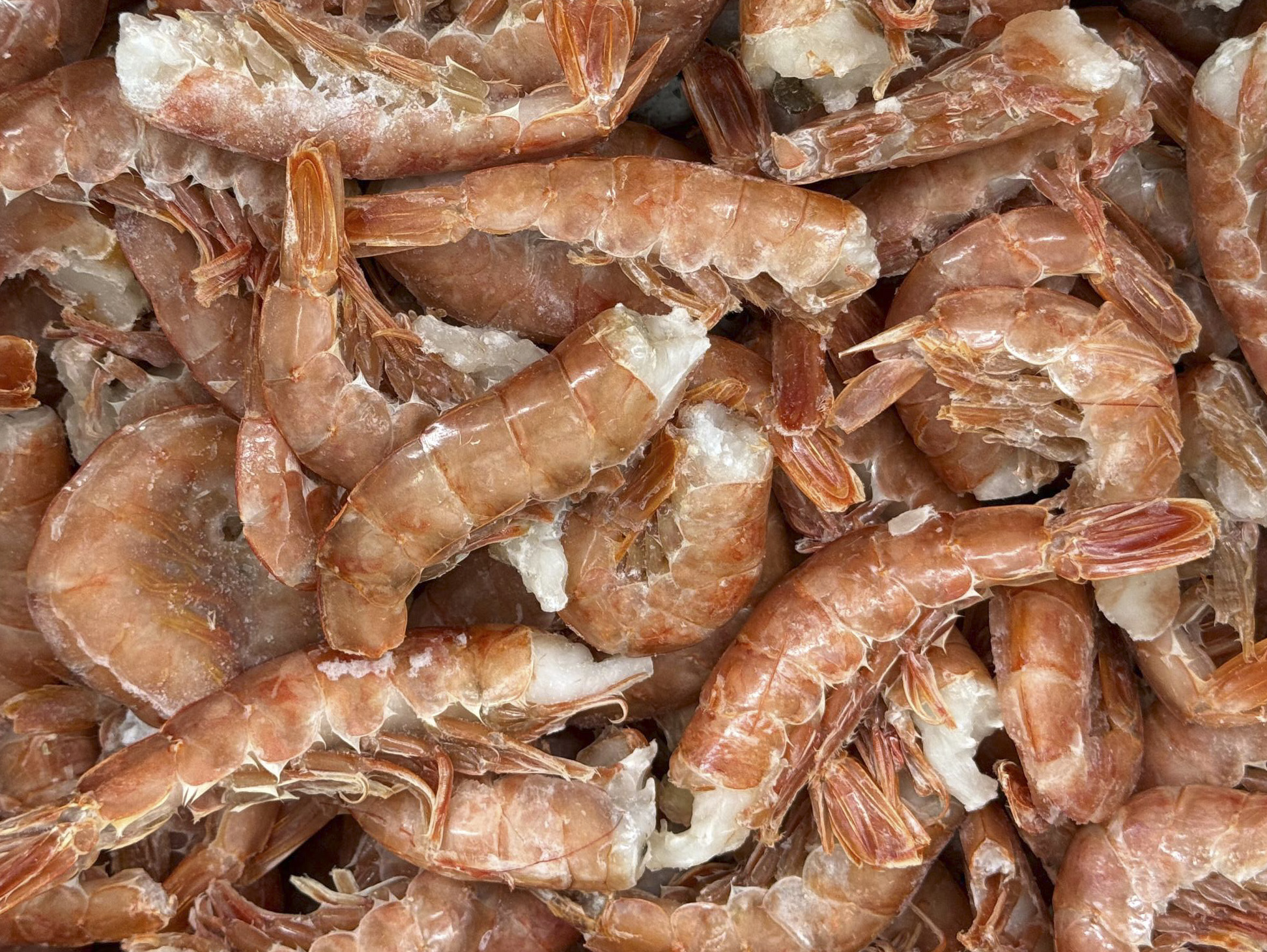 Фото Креветка «Red Shrimp tails» C1 35-45  б/г с/м ваг. Аргентина