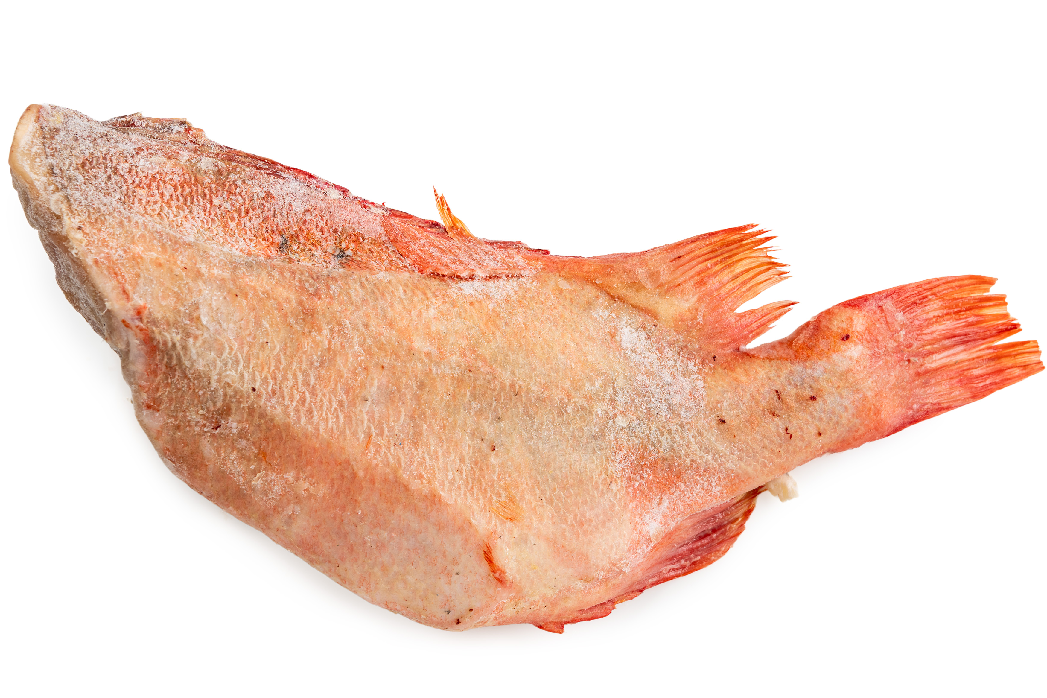 Фото Окунь морский «Redfish» 1000+ с/м б/г в Ісландии