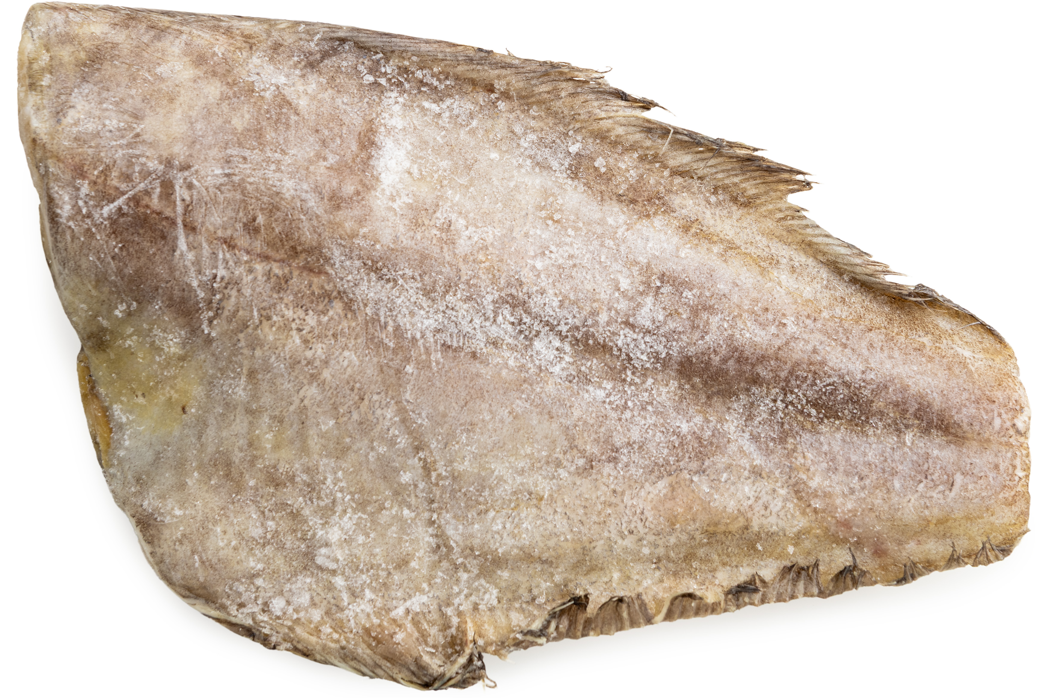 Photo Halibut Greenland 1000-1500 g/m weight