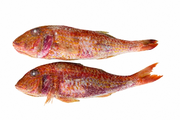 Фото Барабулька «Red mullet» с/м 85-125 ваг.