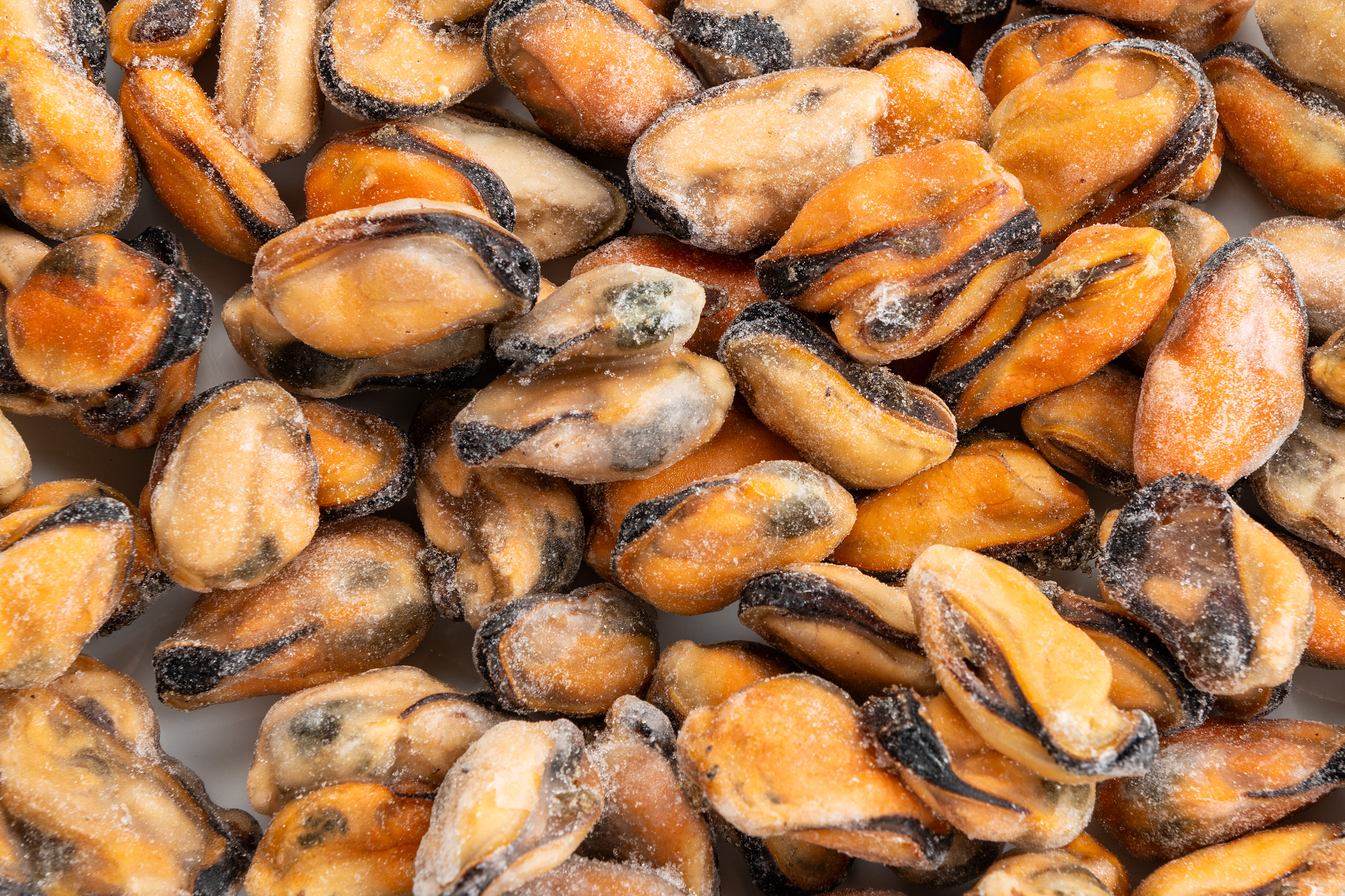 Фото Мідії м"ясо«Mussels meat» 150/200  в/м ваг ІСПАНІЯ