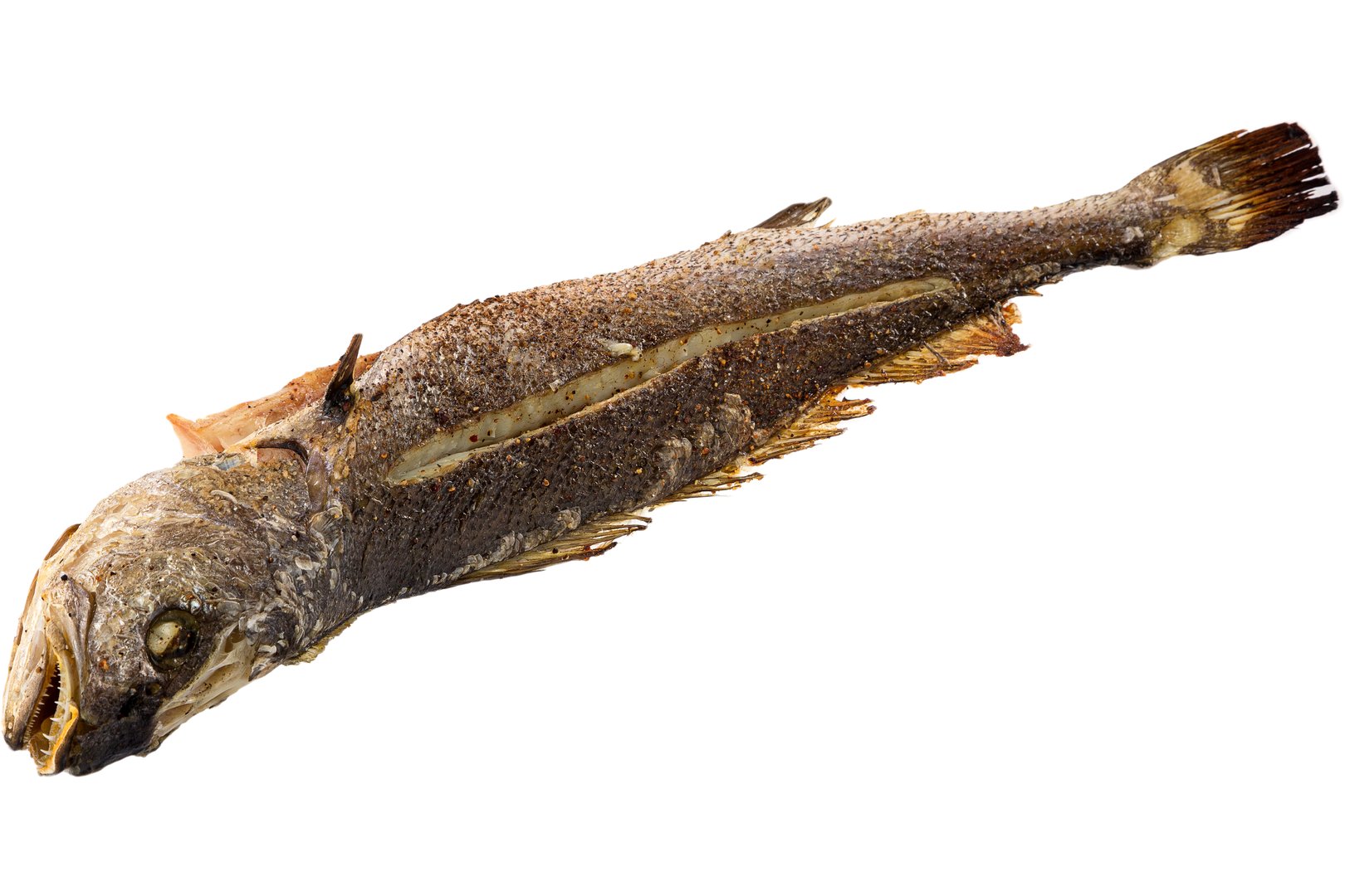 Photo Dish Silver Croaker