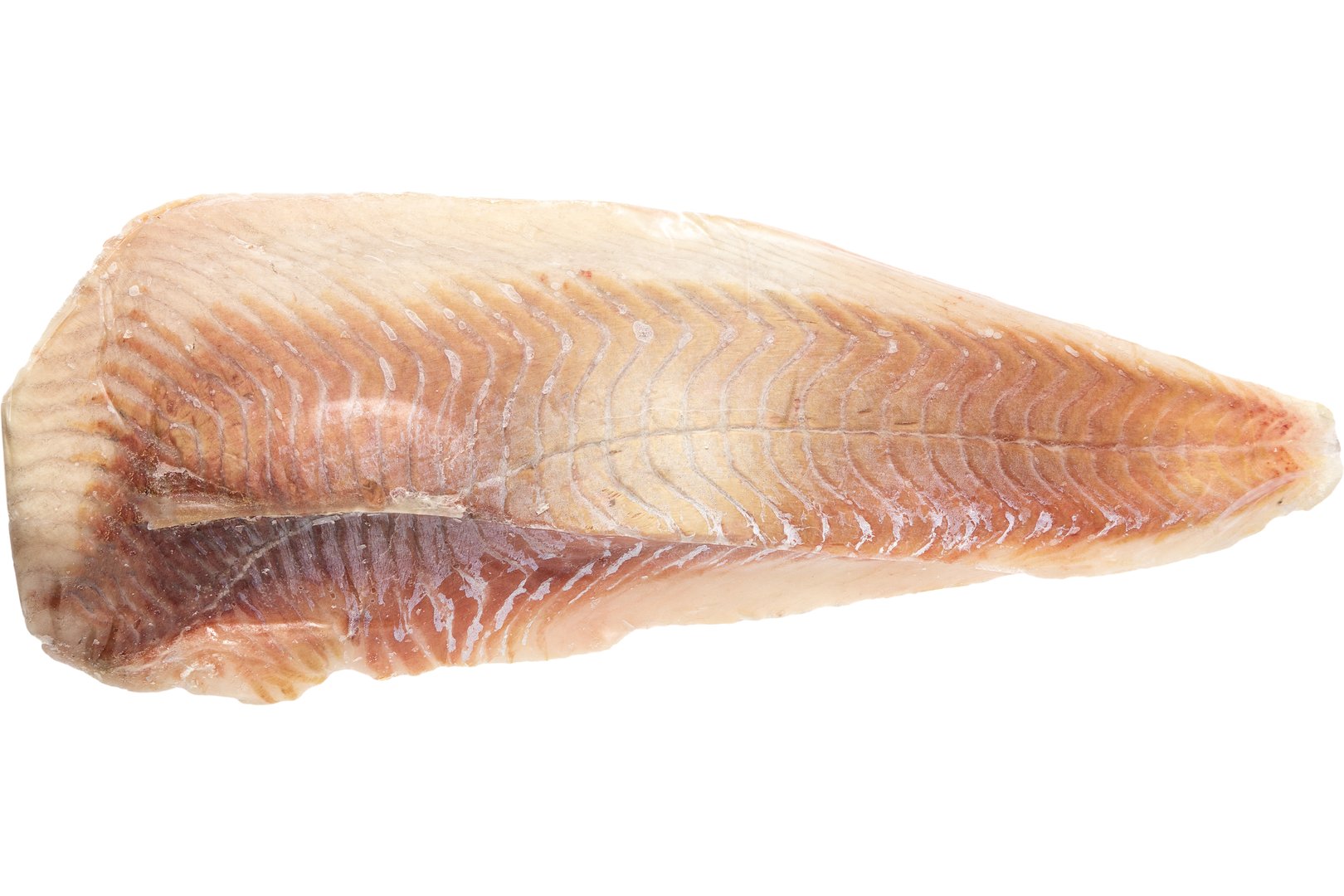 Photo Saithe fillets
