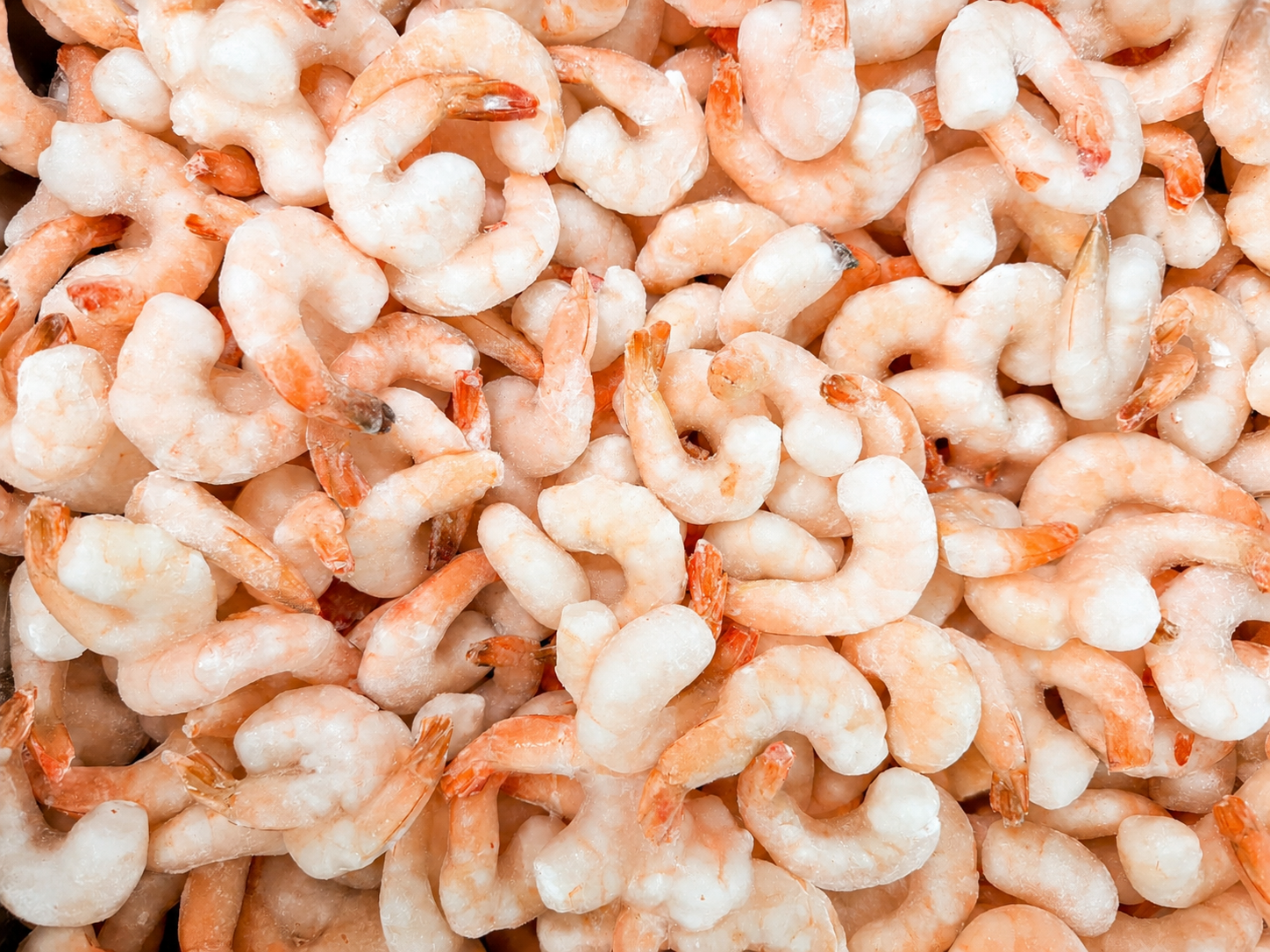 Photo Shrimp/Prawn Vannamei