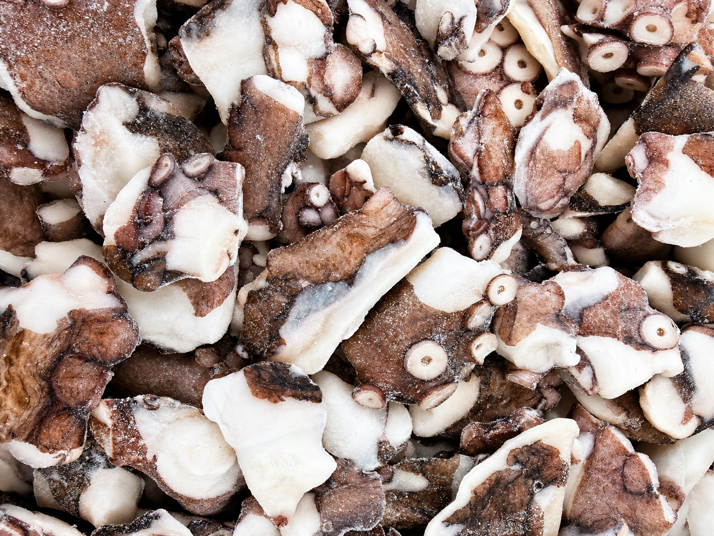 Photo Octopus slices fresh frozen