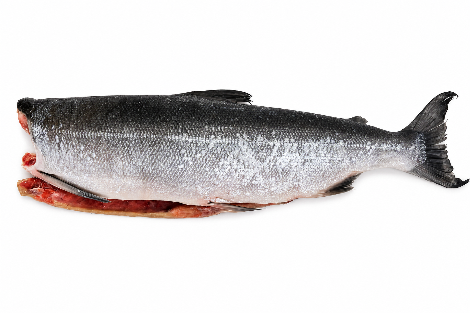 Фото Нерка "Sockeye salmon" (0.9-1.8 кг)