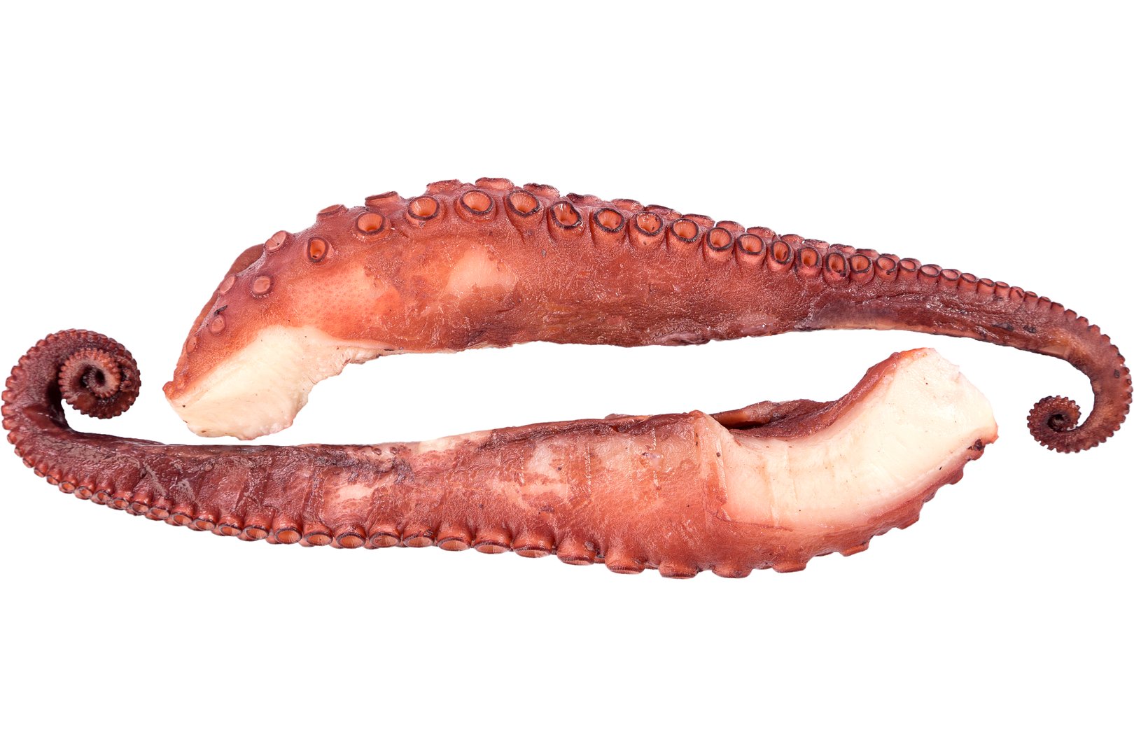 Фото Восьминіг щупальця  «Оctopus» дефростовані,варені  Іспанія