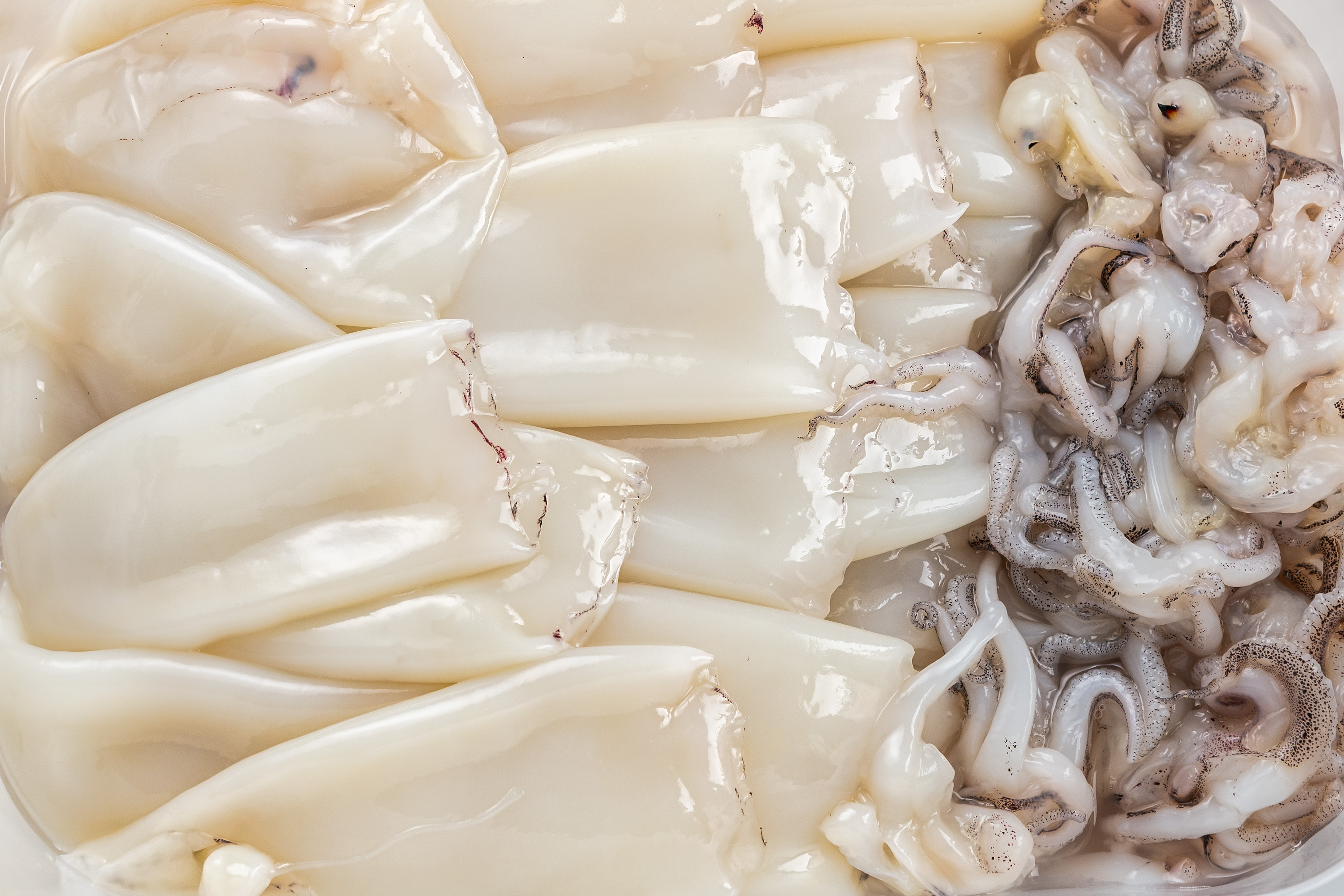 Фото Кальмар тушка «Squid» дефростована Іспанія