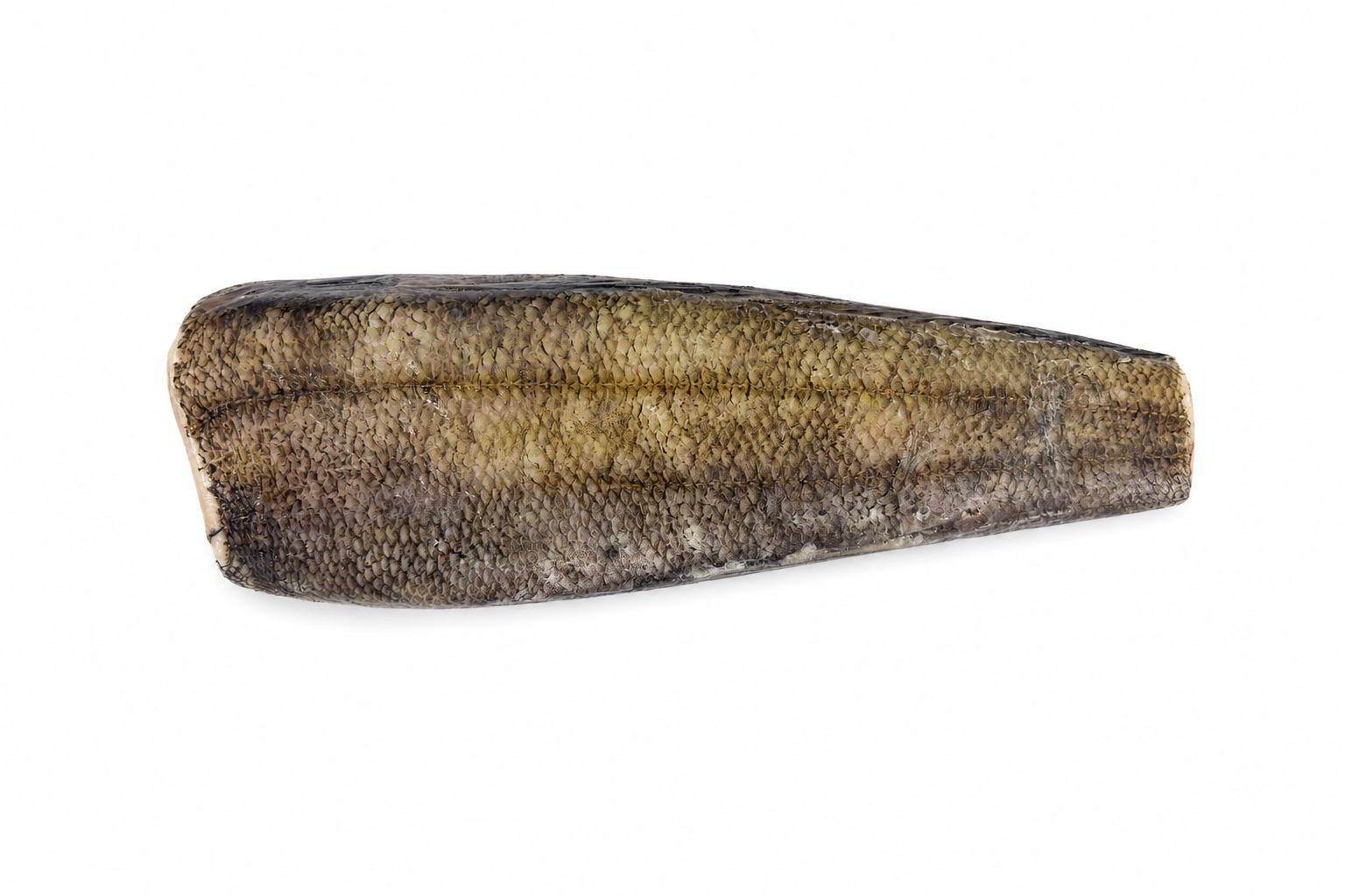 Photo Frozen toothfish 500/1000 Spain