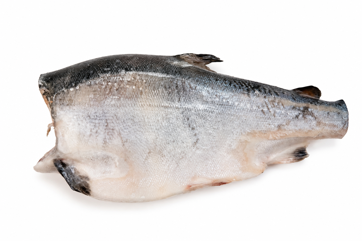 Фото Кижуч «Сoho salmon» свежемороженый