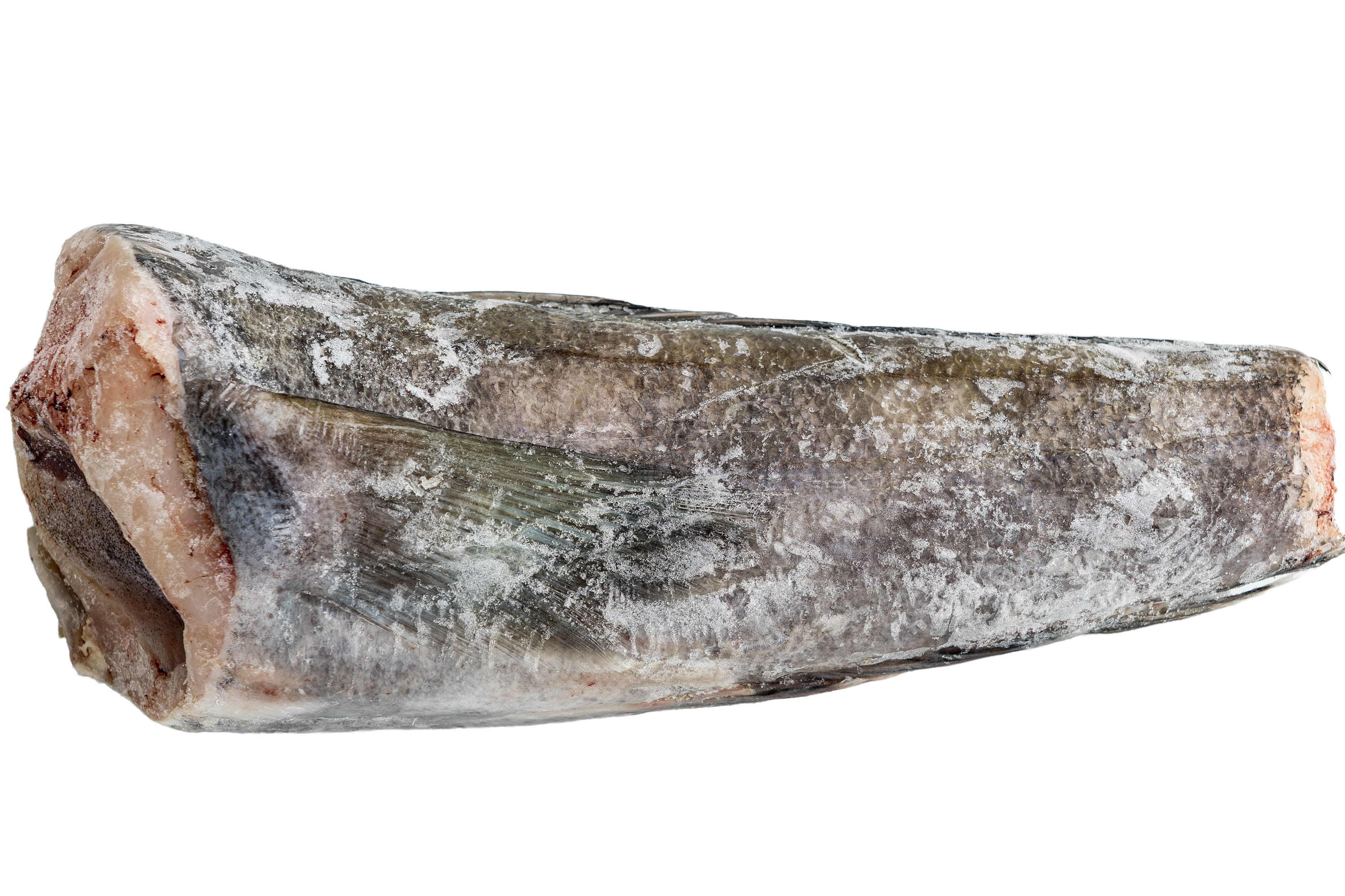 Фото Іклач тушка «Toothfish» 500/1000 с/м ваг ІСПАНІЯ