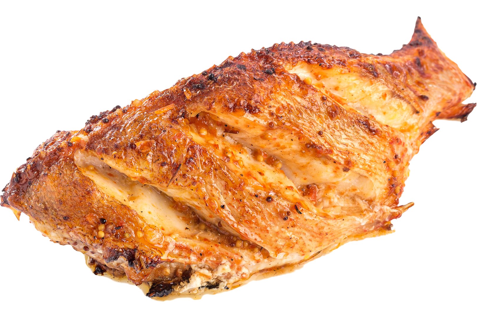 Photo Dish Red Perch