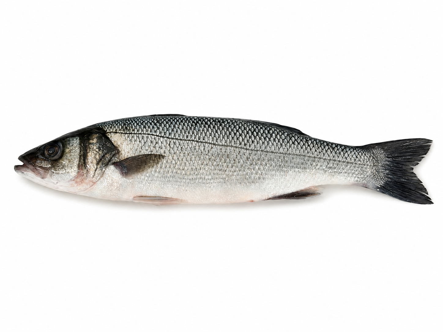 Photo Sea Bass 400-600 chilled