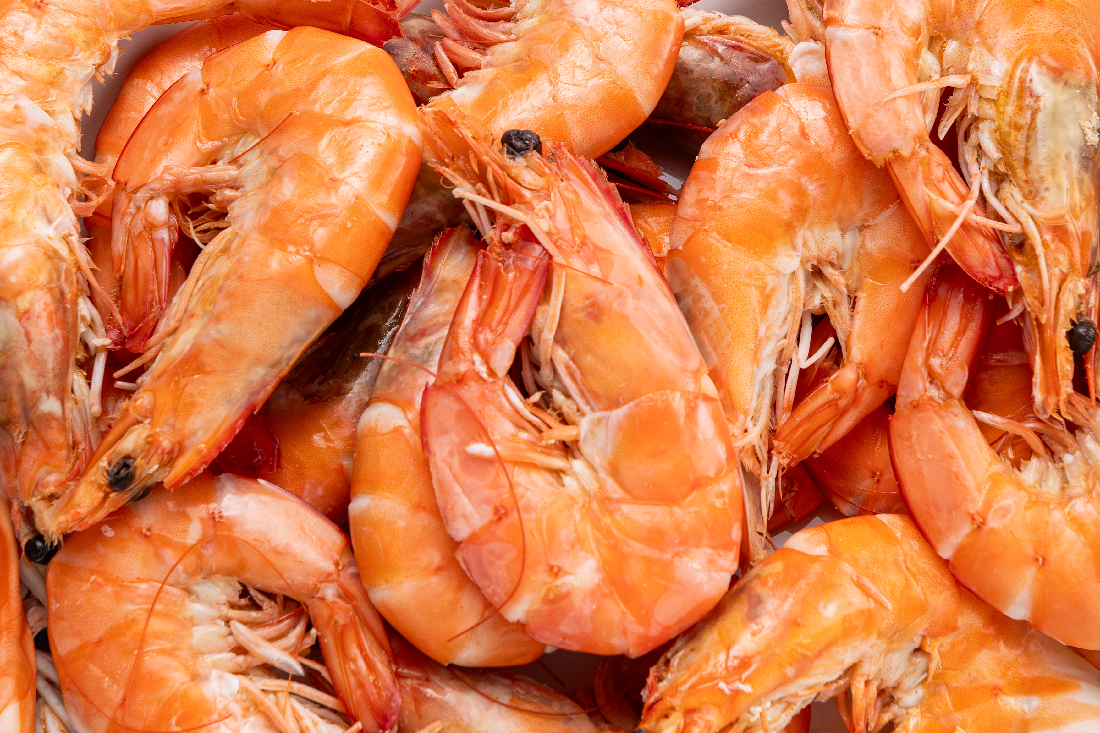 Фото Креветка білонога «Shrimps» дефр. вар. охол ваг FF