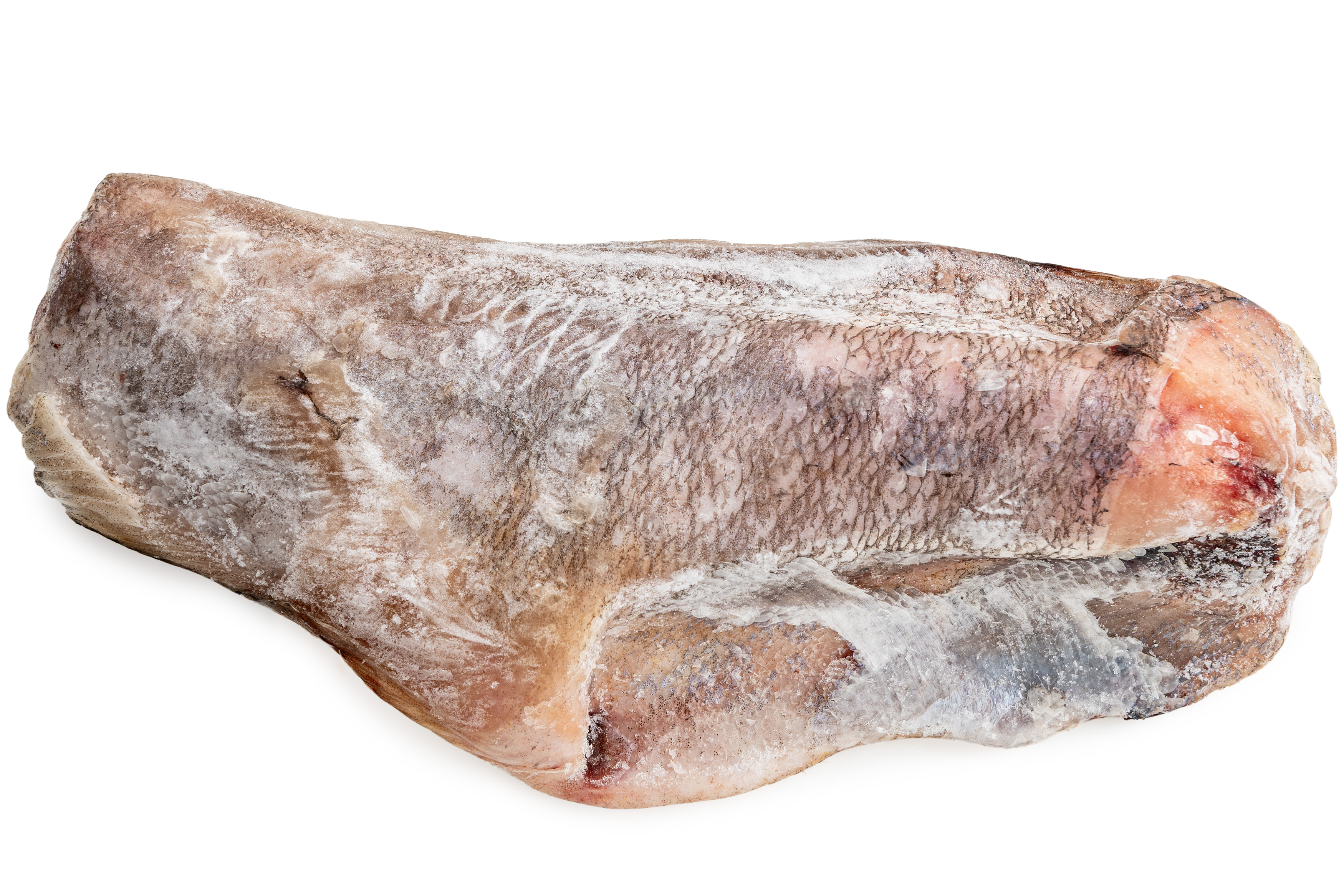 Photo Brotola/white hake «Вrotola» frozen 600-800 g/m weight