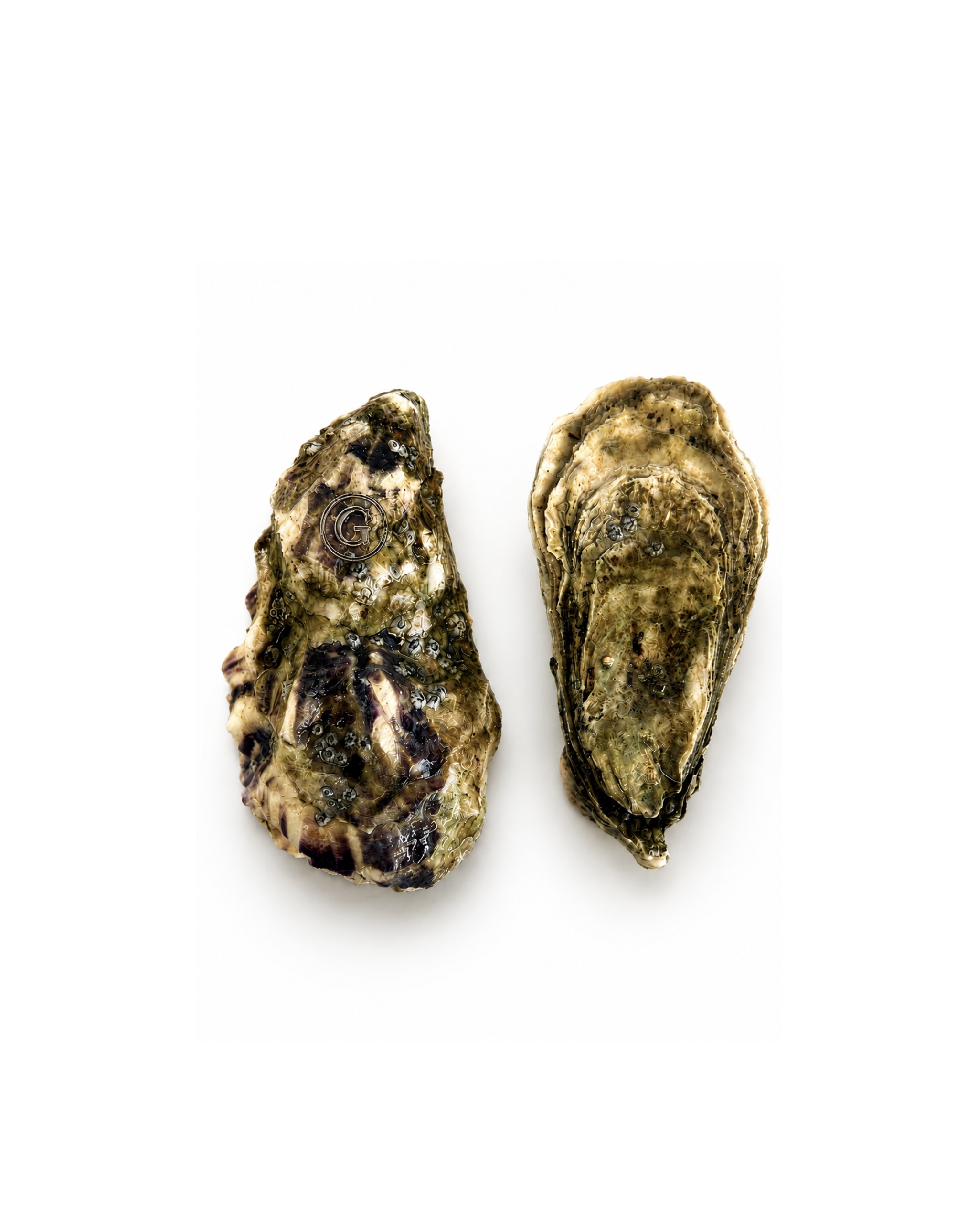 Photo Gilardo oyster classic "Speciale de Claire Gillardeau" № 2