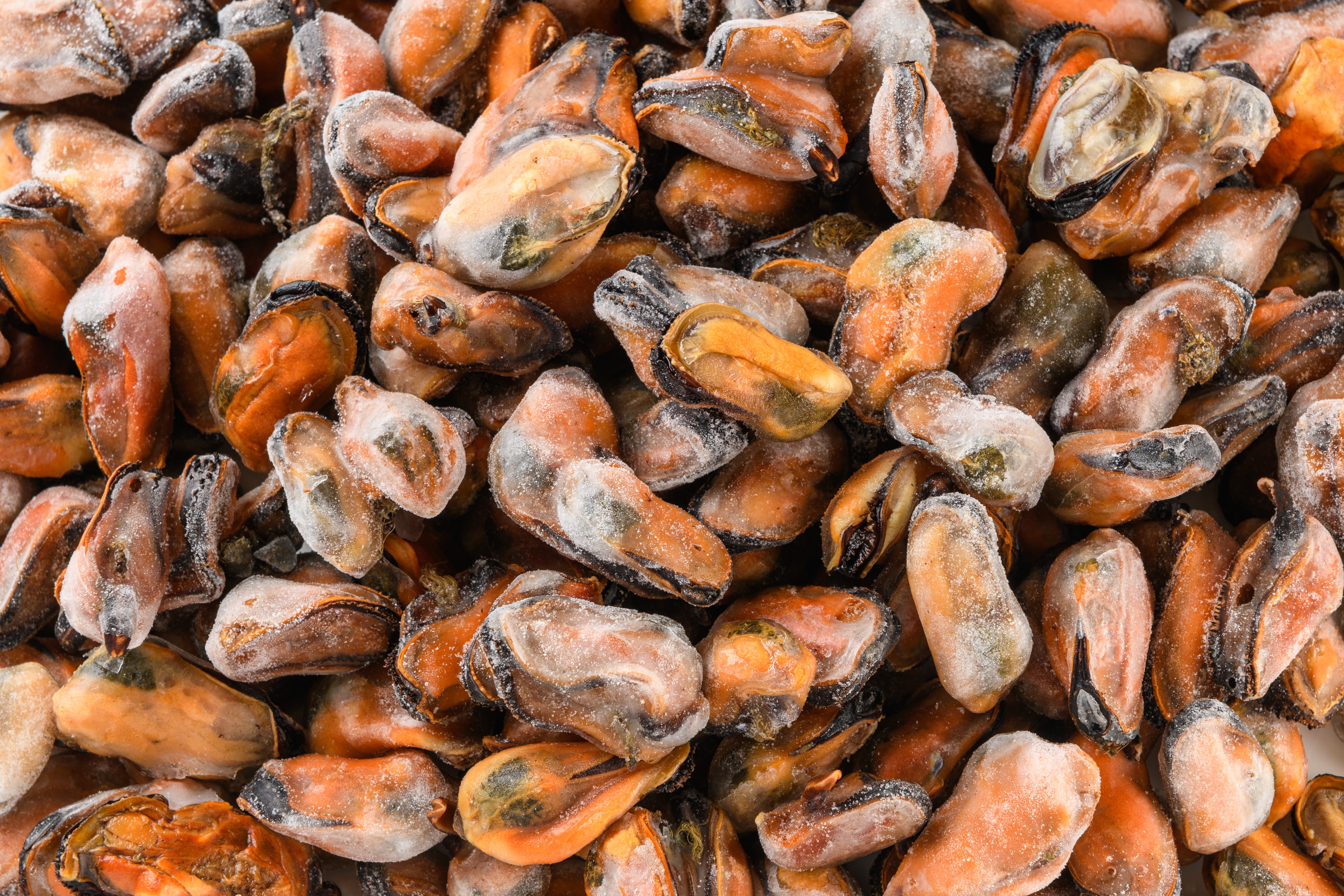 Photo Mussels meat "Mussels meat" 300/400 c/m weight SPAIN