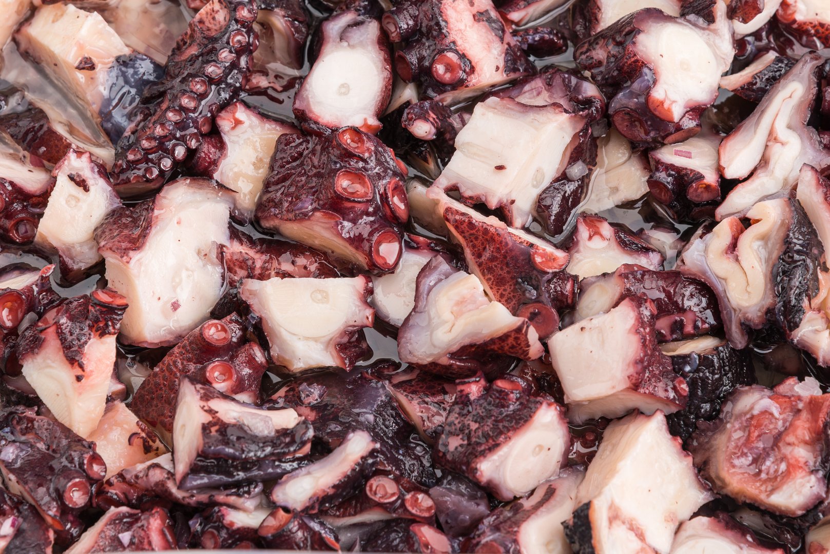 Photo Salad with marinated octopus