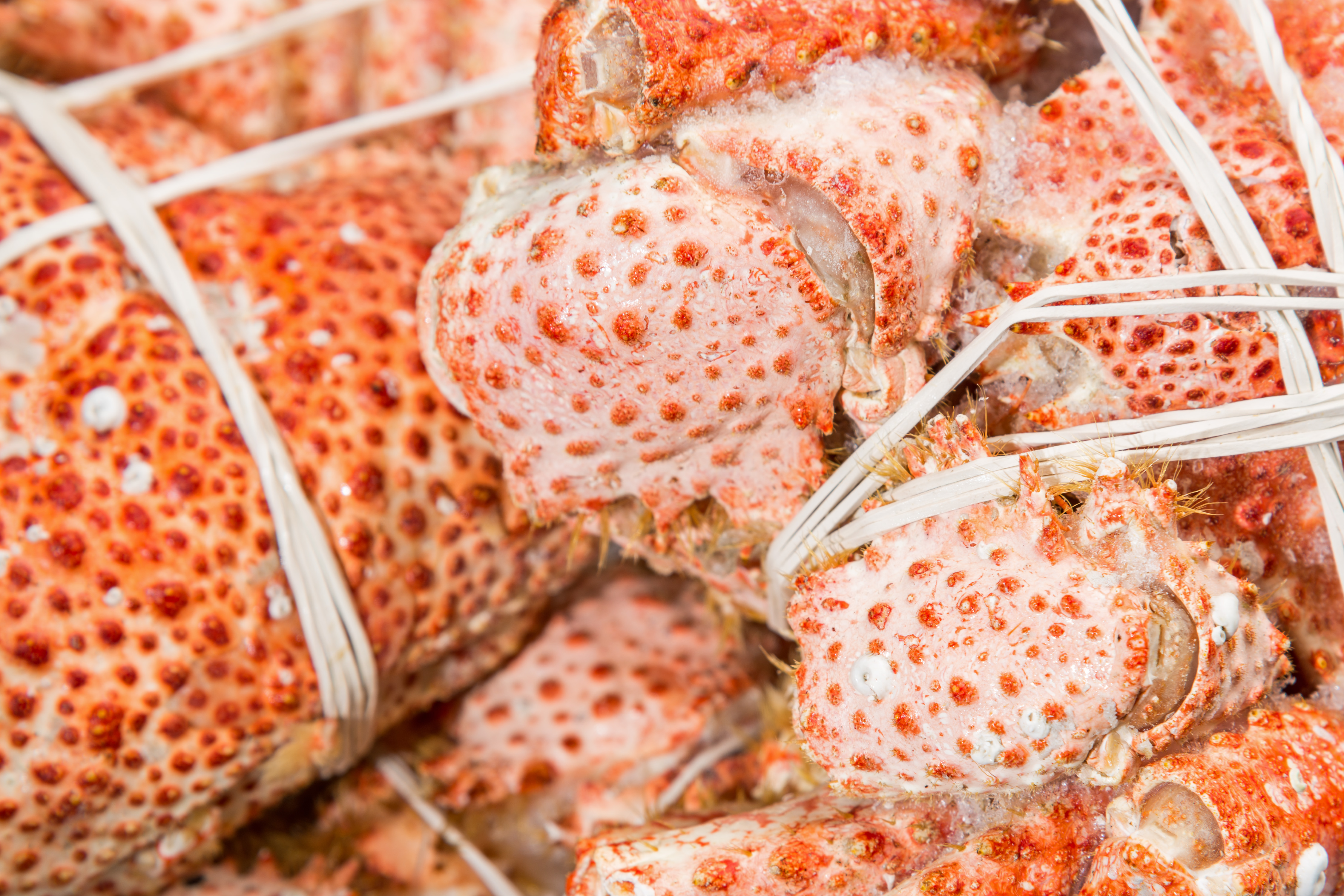 Photo Chilled crab