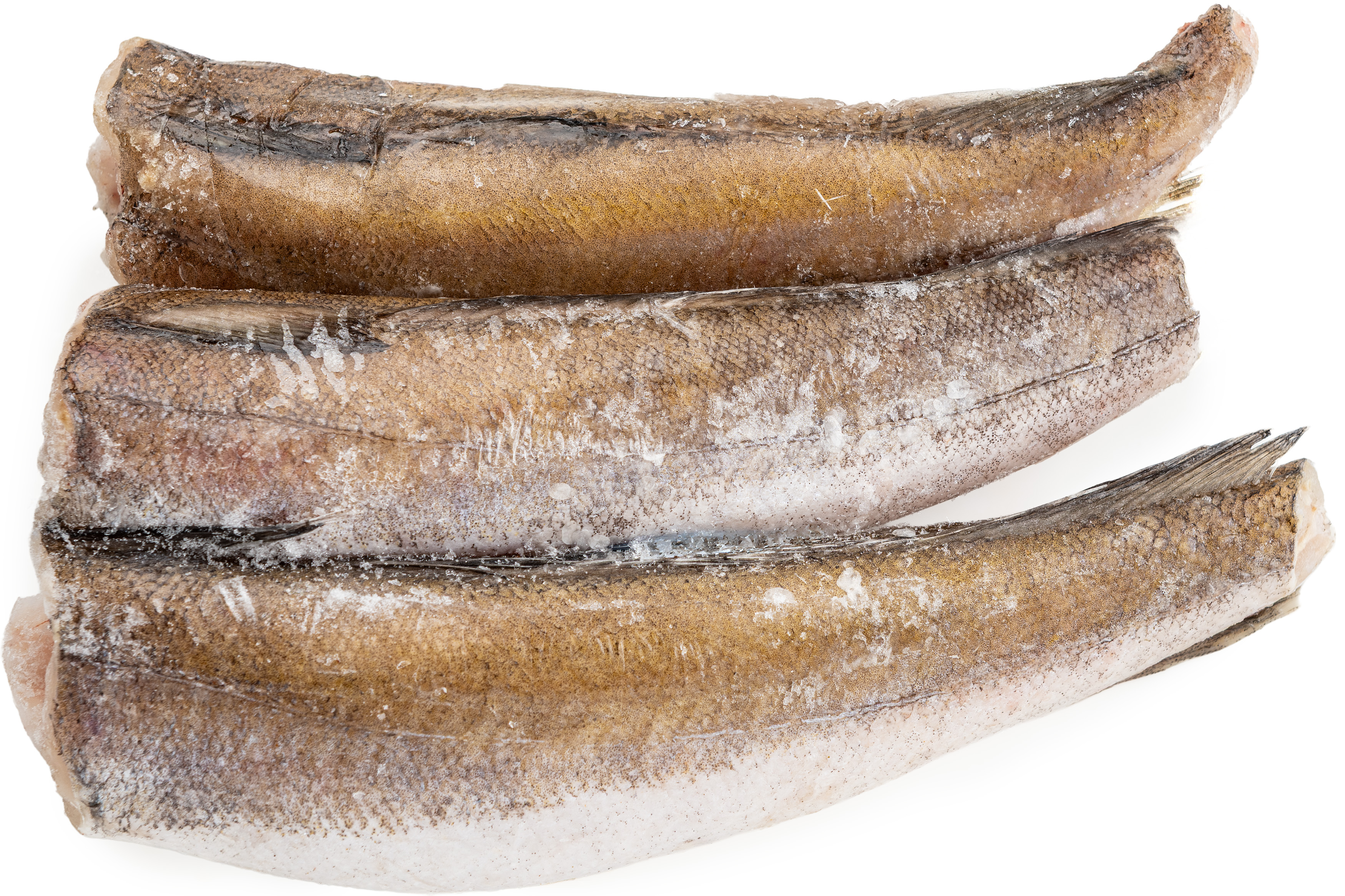 Photo Hake carcass "Hake" 100-200 s/m weight. Argentina