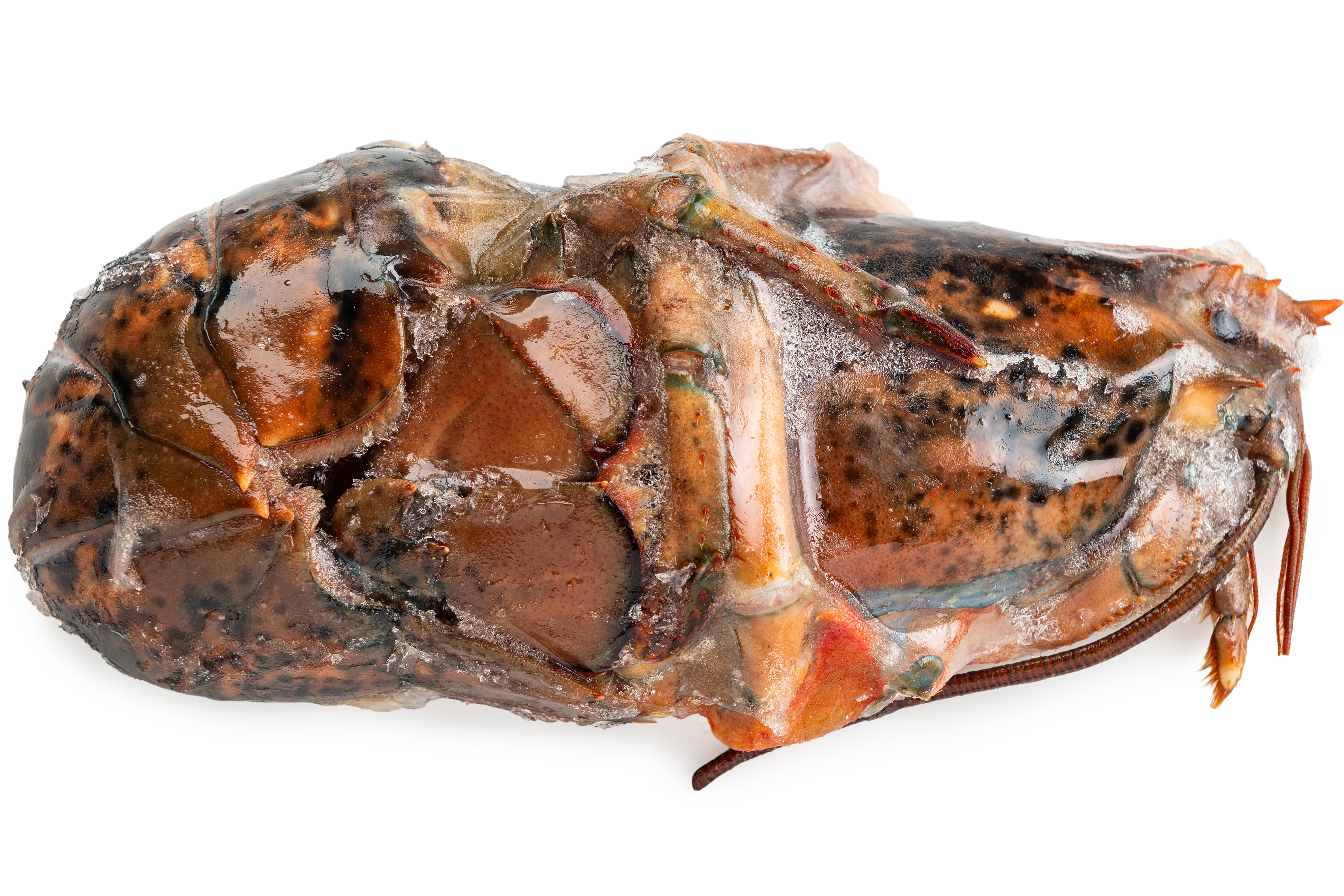 Фото Лобстер «Lobster» дефрост. ваг