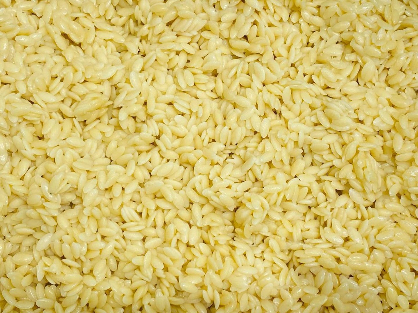 Photo Orzo pasta