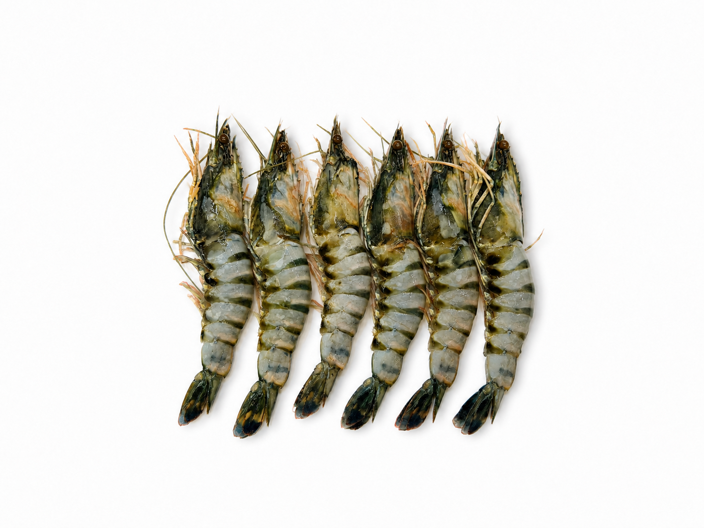 Фото Креветка тигрова крупна «Tiger shrimp» дефростована вагова