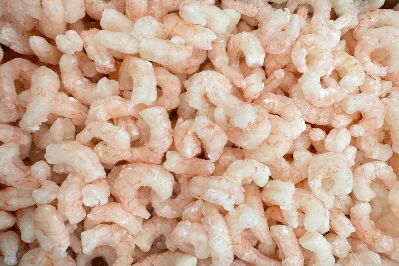 Photo Shrimps cleaned "Prawns meat" Iceland